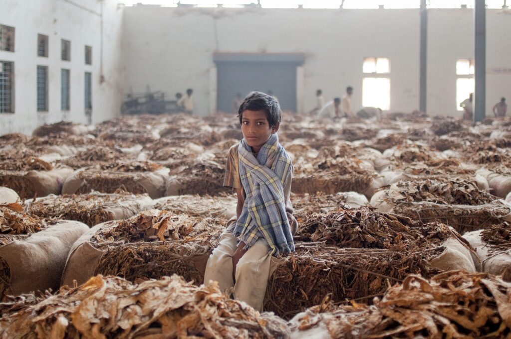 rocco rorandelli foto industria tabacco