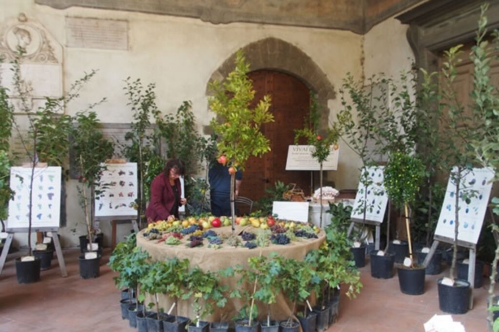 Nel cuore dell’Oltrarno torna Floralia per Santo Spirito