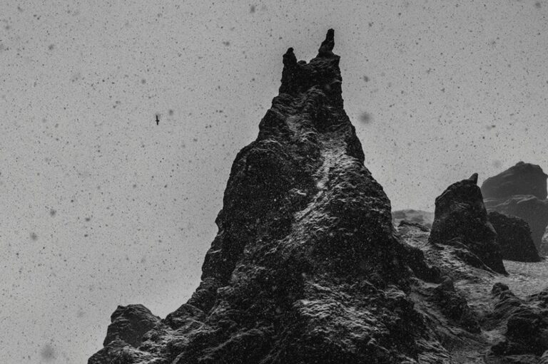 taken by the tide rifugio digitale