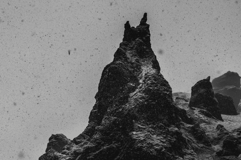 taken by the tide rifugio digitale