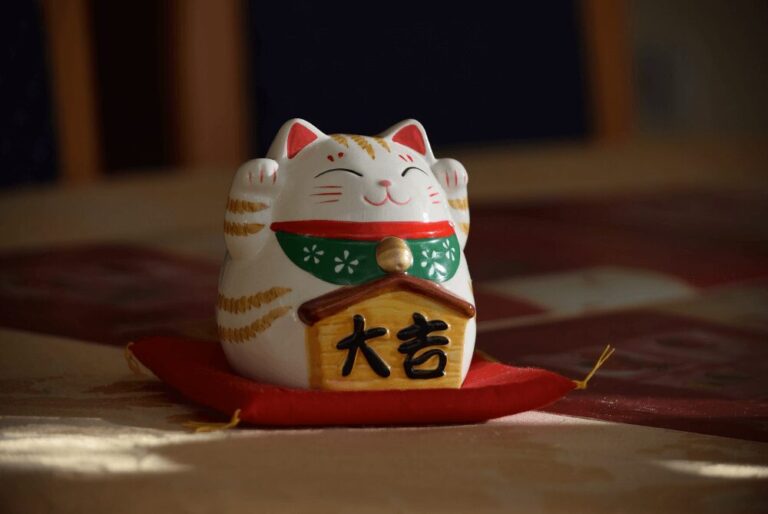 Neko café