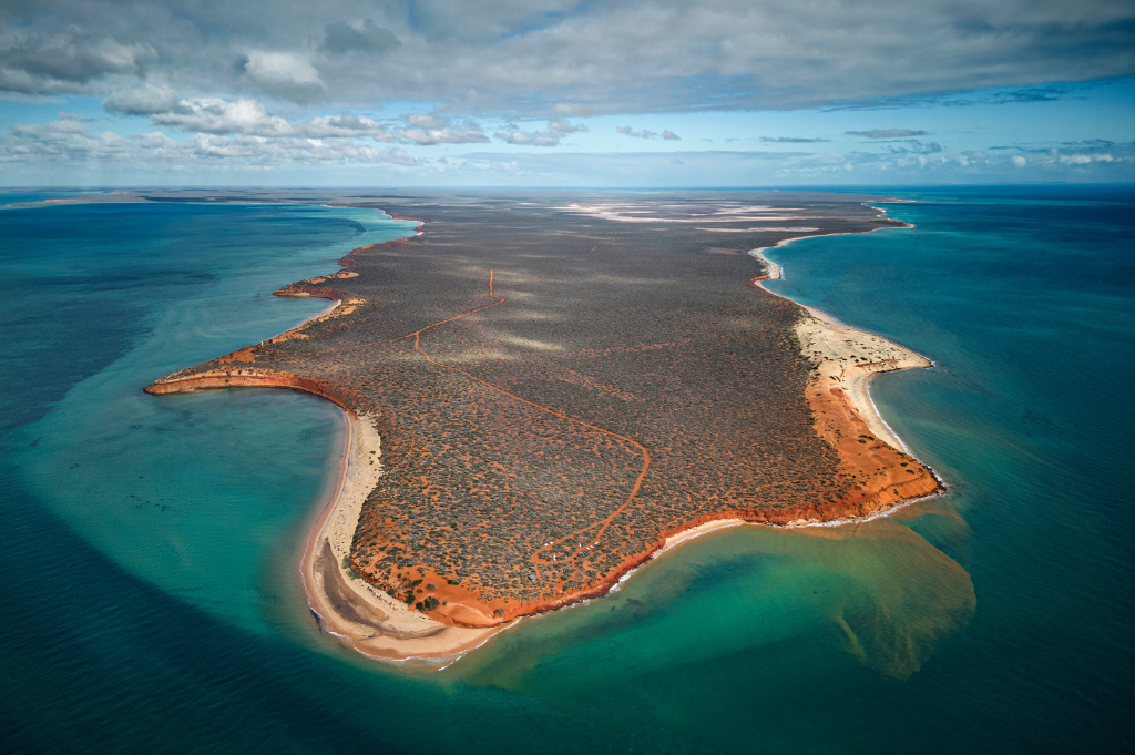 fotografie cambiamento climatico