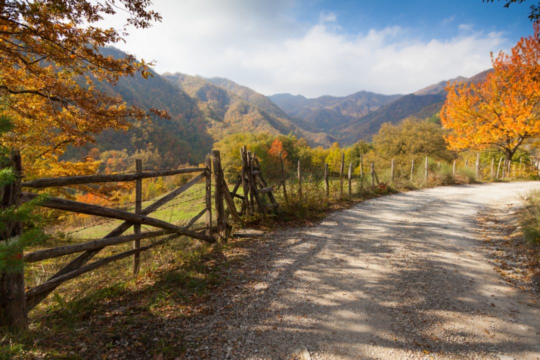 Foreste del Casentino