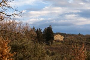 riscaldare una casa vacanza con stufa al bioetanolo