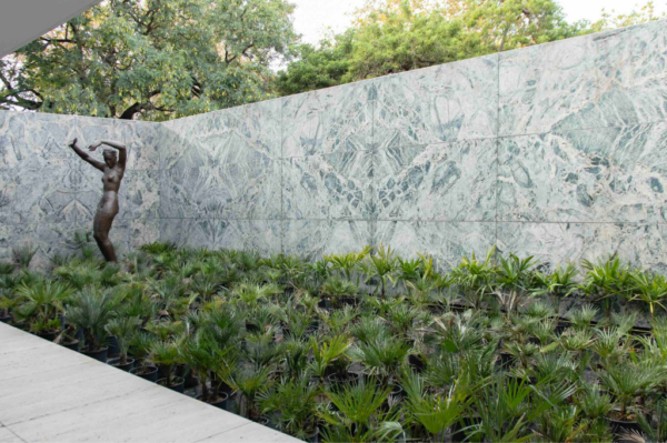 foresta itinerante firenze