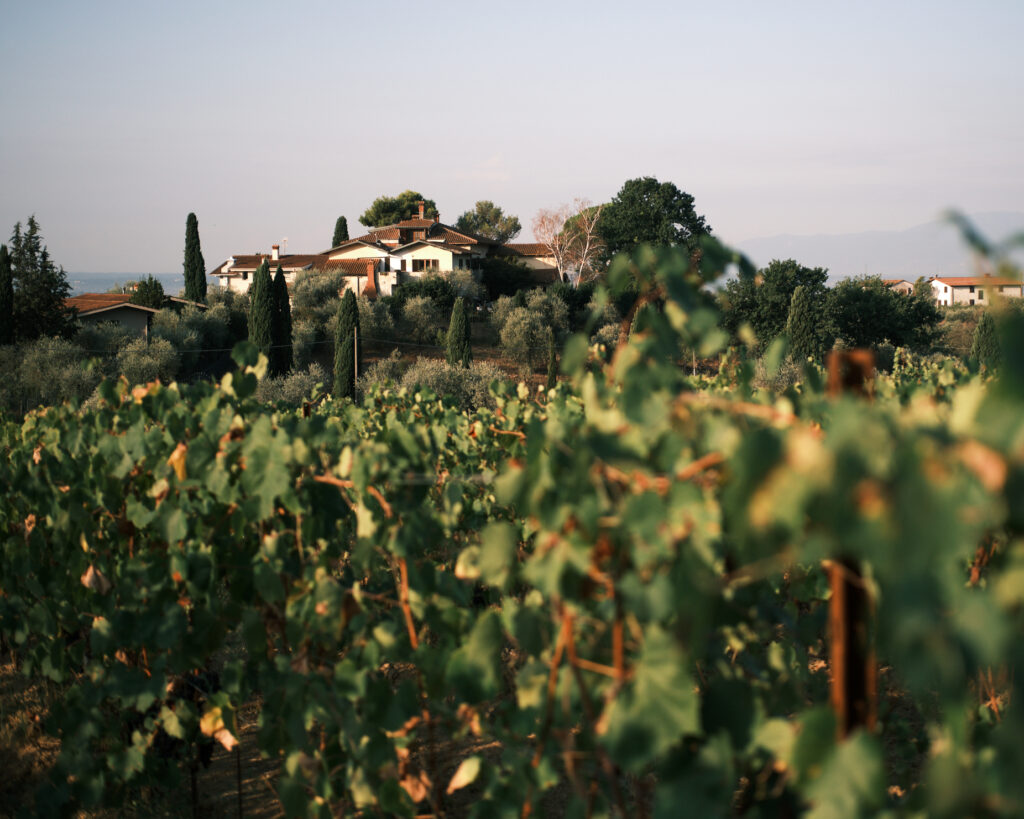 Tenuta Querciamatta Monsummano Terme