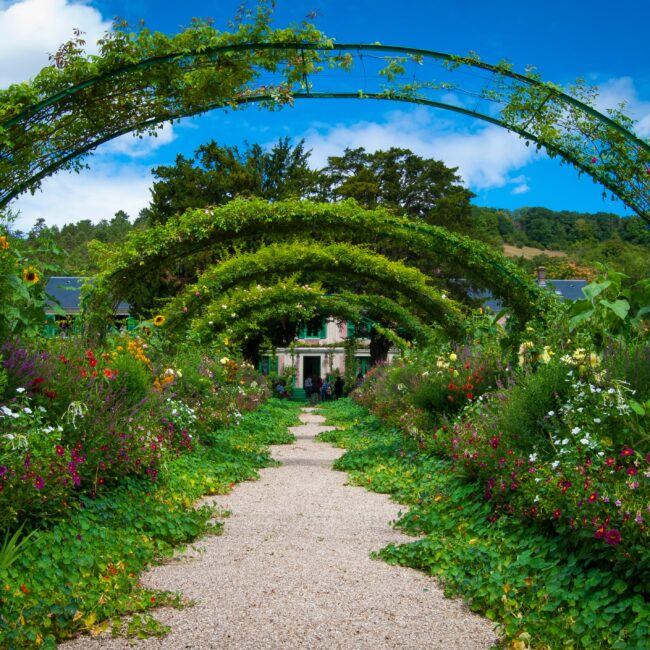 come avere un giardino perfetto