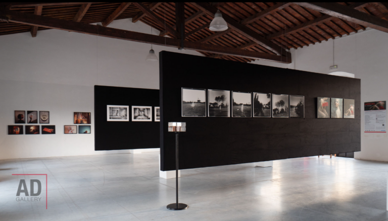mostra fotografia prato