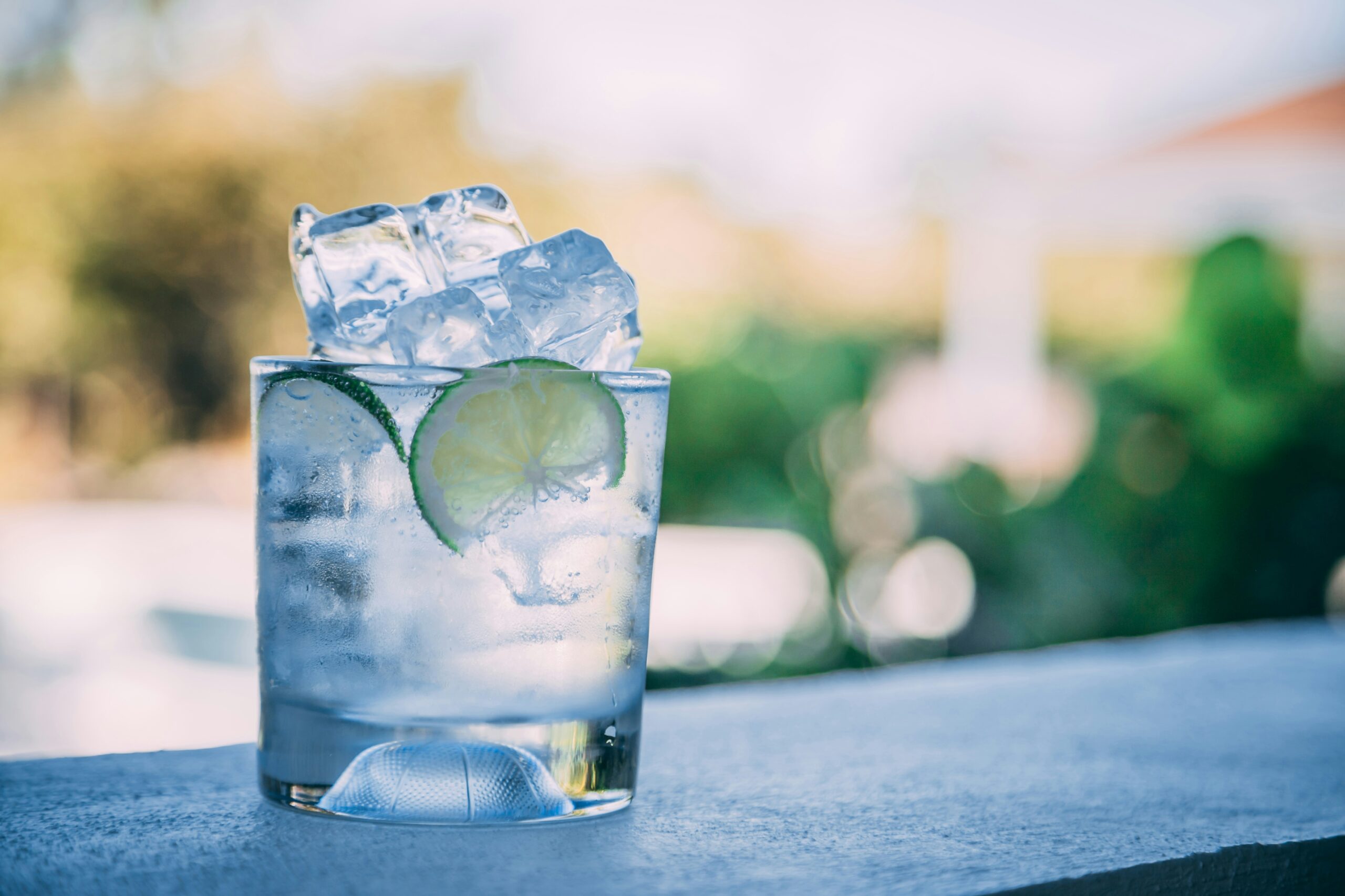Jimmy The Tonic Companion, il nuovo distillato low alcol di Fermenthinks, Firenze