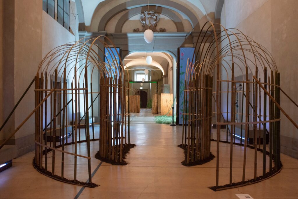 Scripta Festival 2025 Firenze
