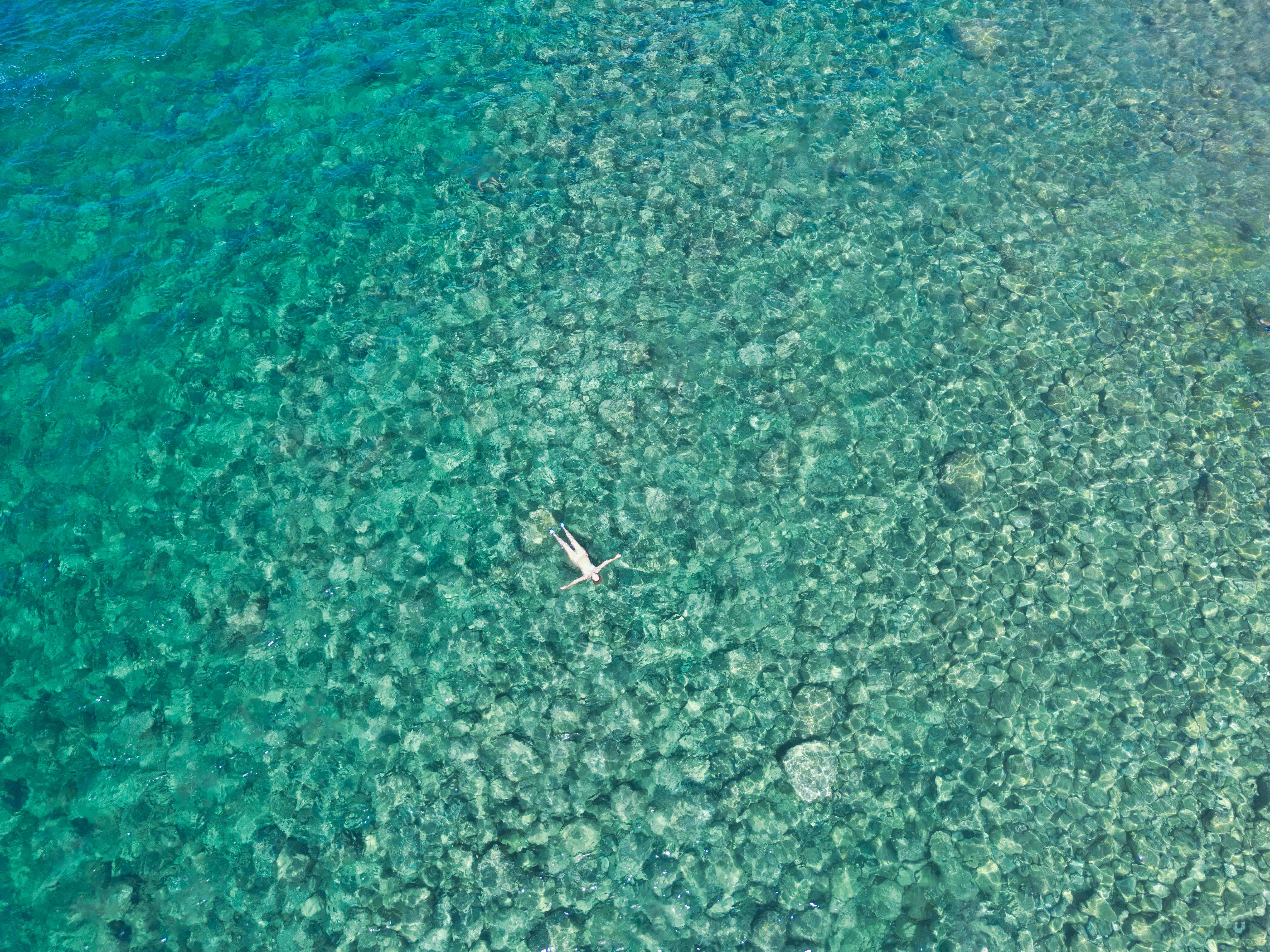 Swimmers diving from the rocks at Fortulla on the Livorno coast