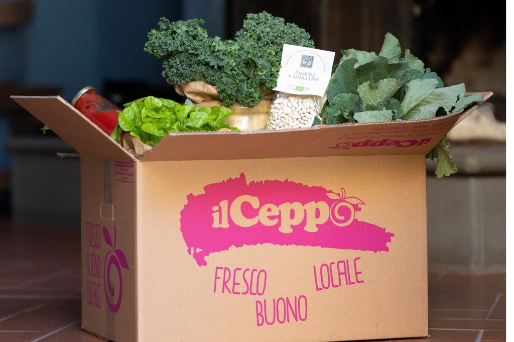 An Il Ceppo box packed with cavolo nero, curly kale, lettuce and other fresh vegetables