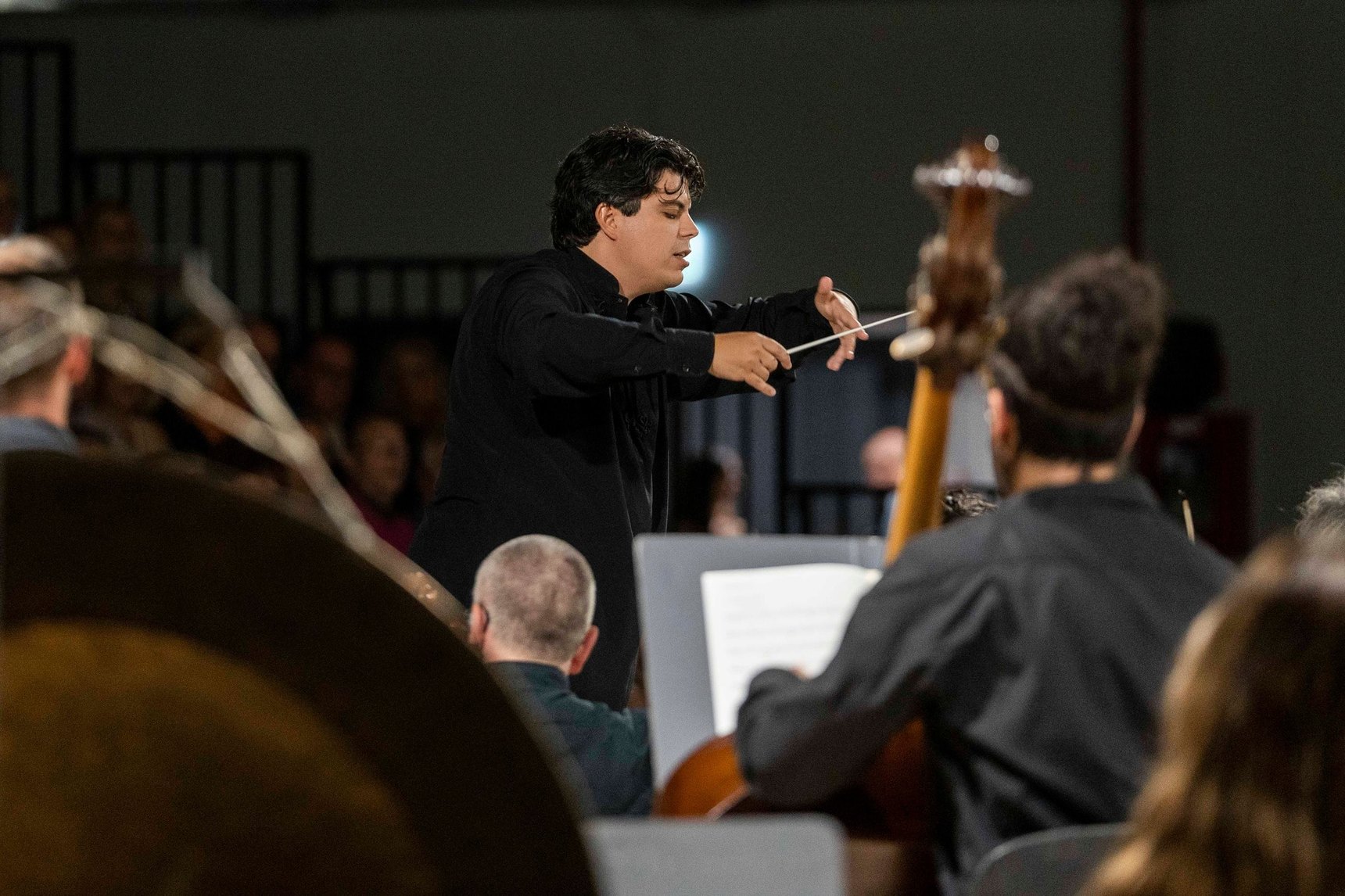 A conductor with his baton raised leads the strings, seen from behind the musicians