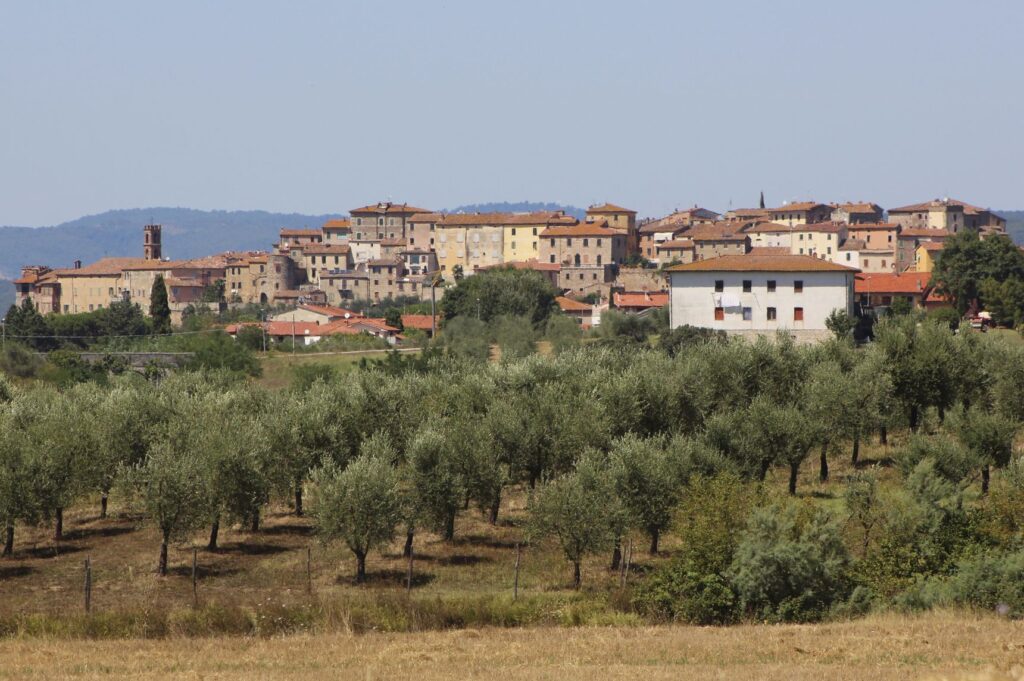 Le case di Rapolano Terme in cima alla collina, viste da un oliveto nella campagna senese
