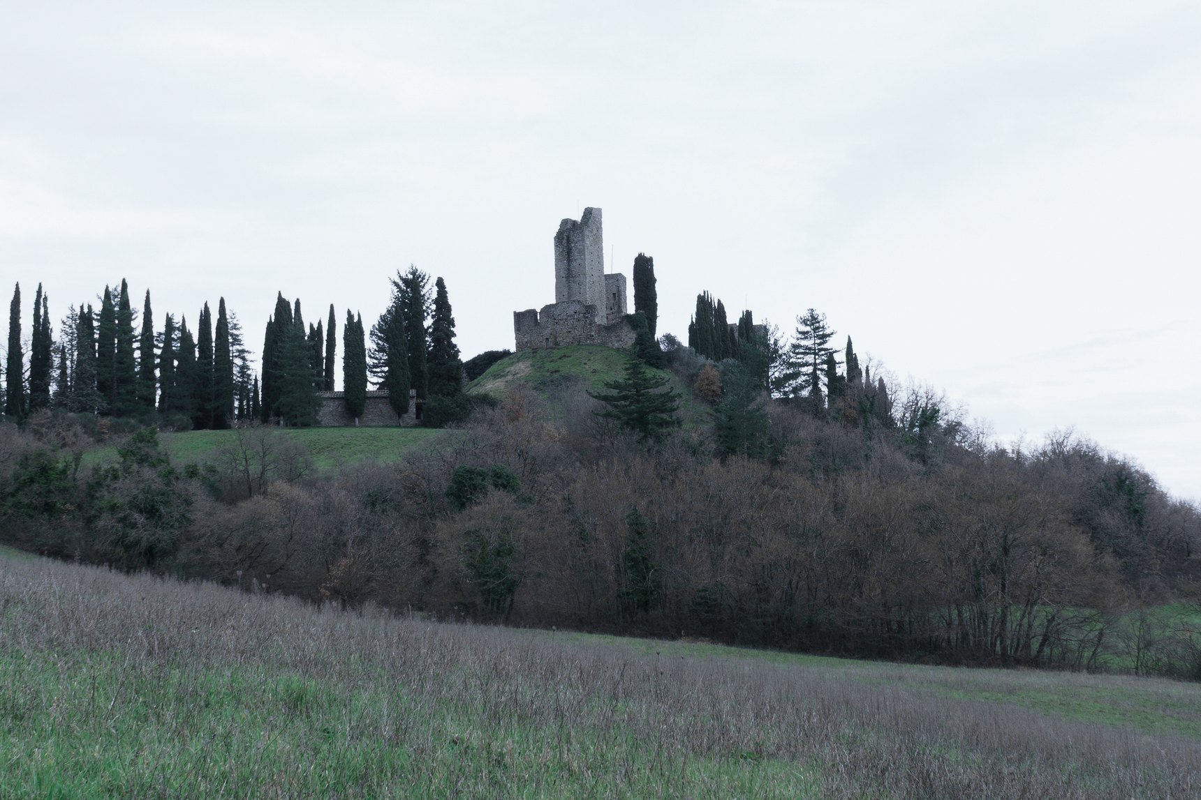 Il castello di Romena in rovina su una collina di cipressi, sopra un bosco spoglio e un prato d’inverno