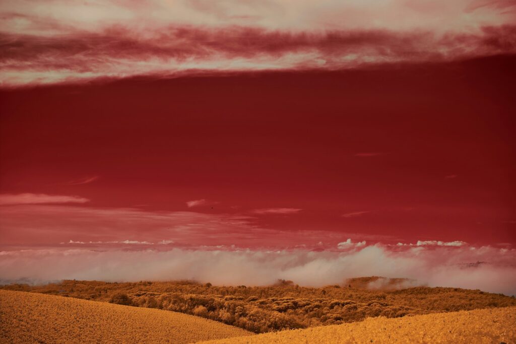 Campi dorati della campagna toscana sotto un cielo rosso d'autunno, con banchi di nebbia