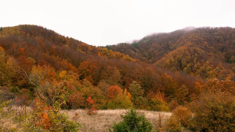 Colline toscane coperte di boschi rossi, arancio e gialli in autunno, con la nebbia sulle cime